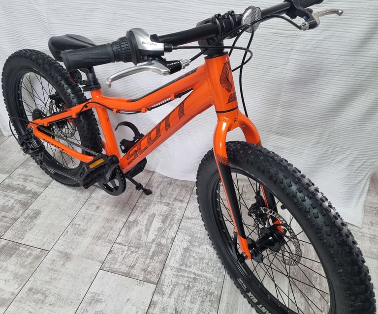 Scott Roxter bike 20"wheels