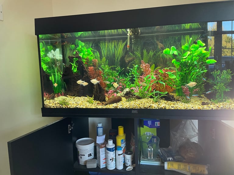 Jewel Rio 180 tank and cabinet and all accessories 