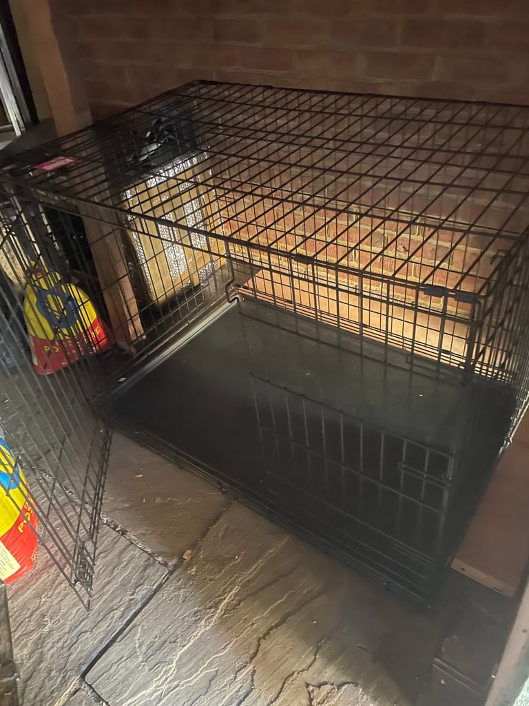 Kong XL dog crate