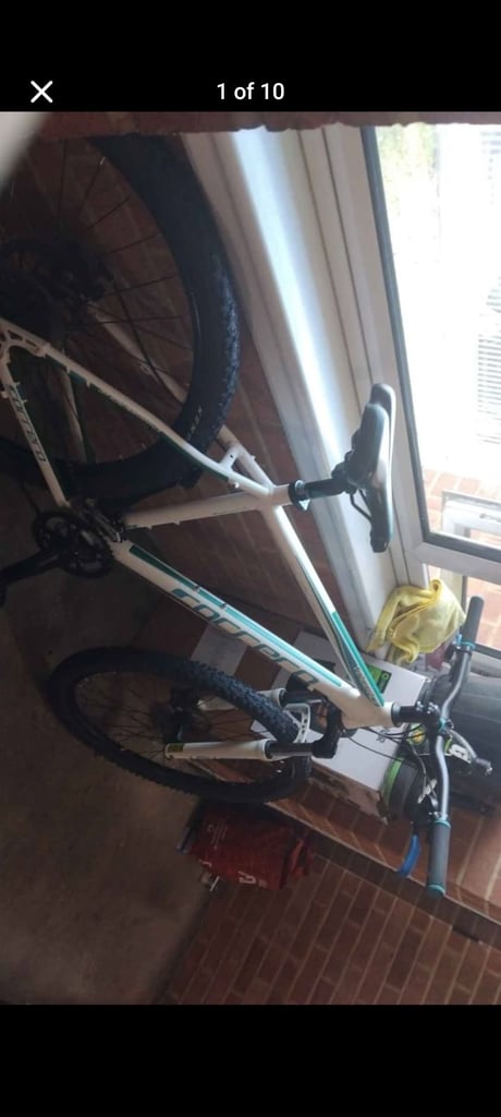 image for Carrera Vengeance 