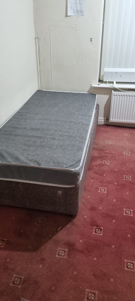 Room in a shared house 