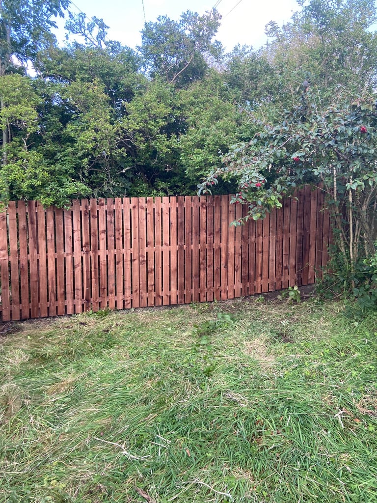 Fencing and Decking 