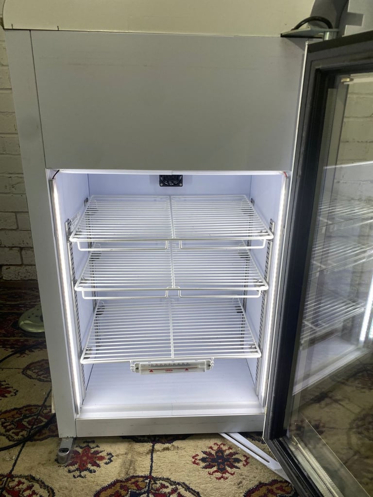 Walls Commercial IceCream Freezer 