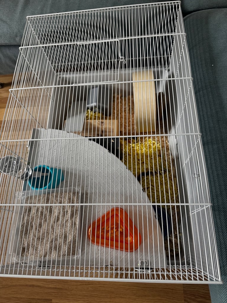 Complete Syrian Hamster Set 
