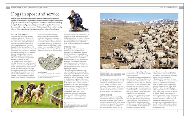 The Dog Encyclopedia: The Definitive Visual Guide (DK Pet Encyclopedias)