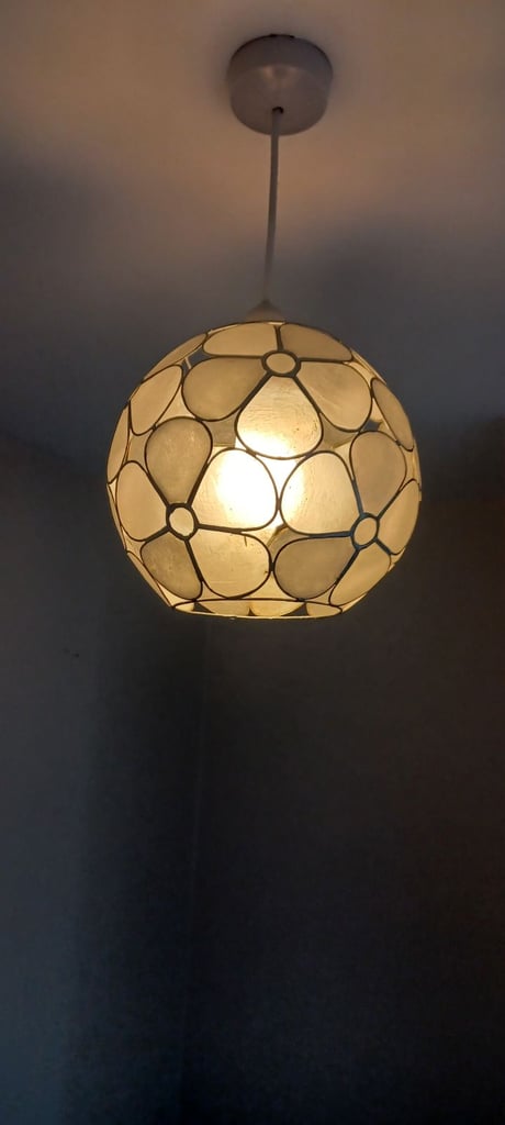 image for Vintage Capriz shell flower design shade