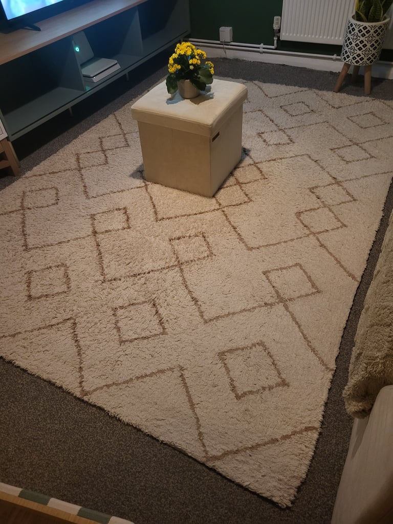 Large rug 230x170