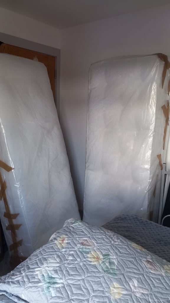 image for 2 x single mattresses 