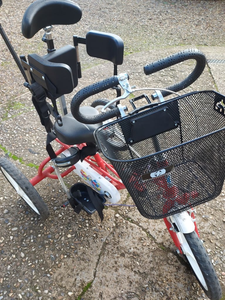 CHILDS THERAPLAY TERRIER TRIKE 