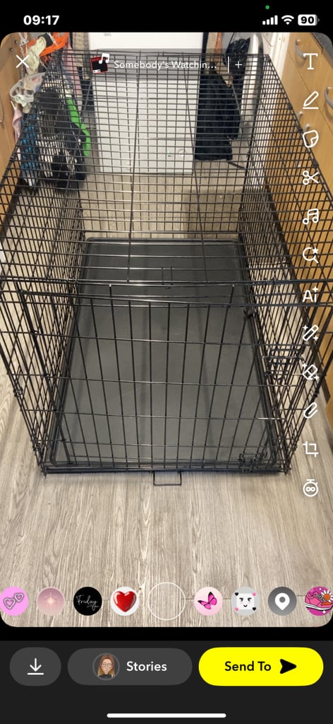 Xxl dog crate 