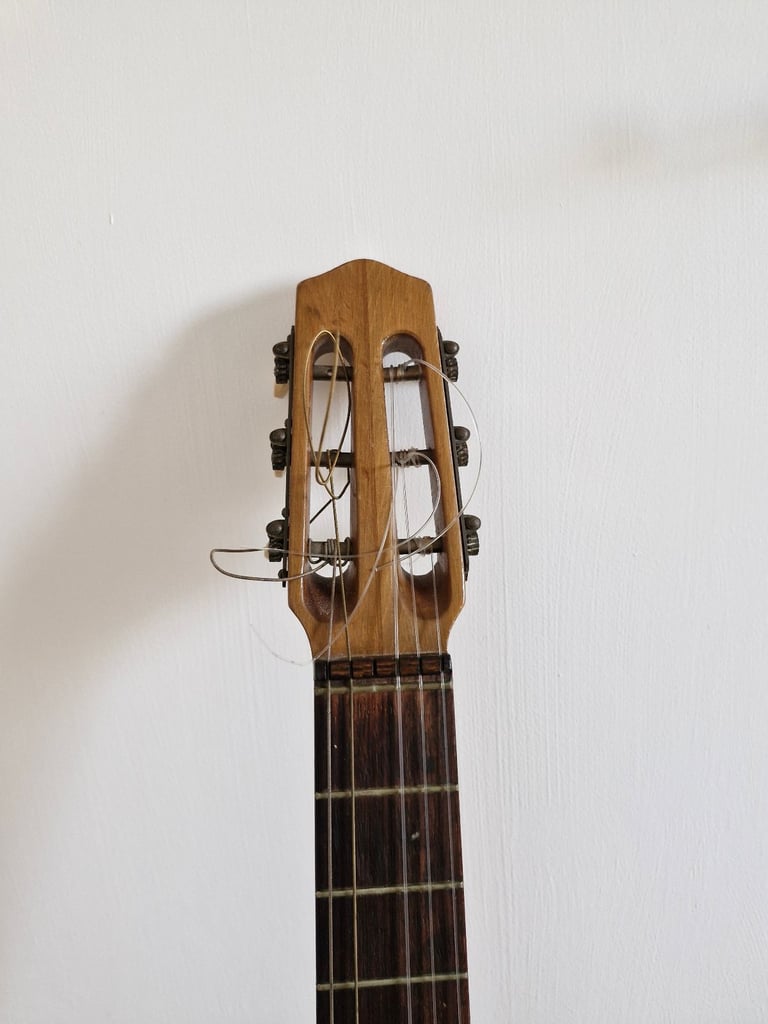 Hofner vienna guitar