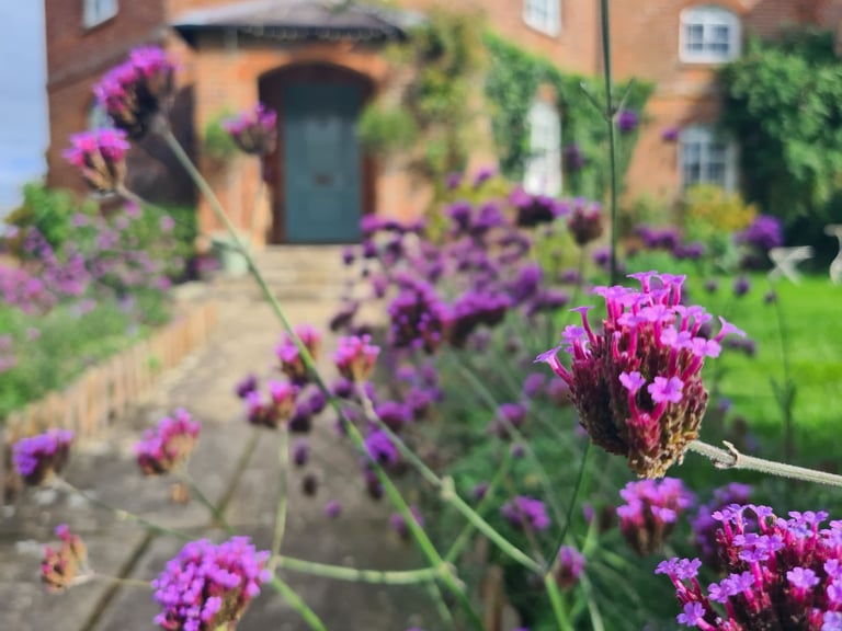 Orpheus Alexander Garden Maintenance