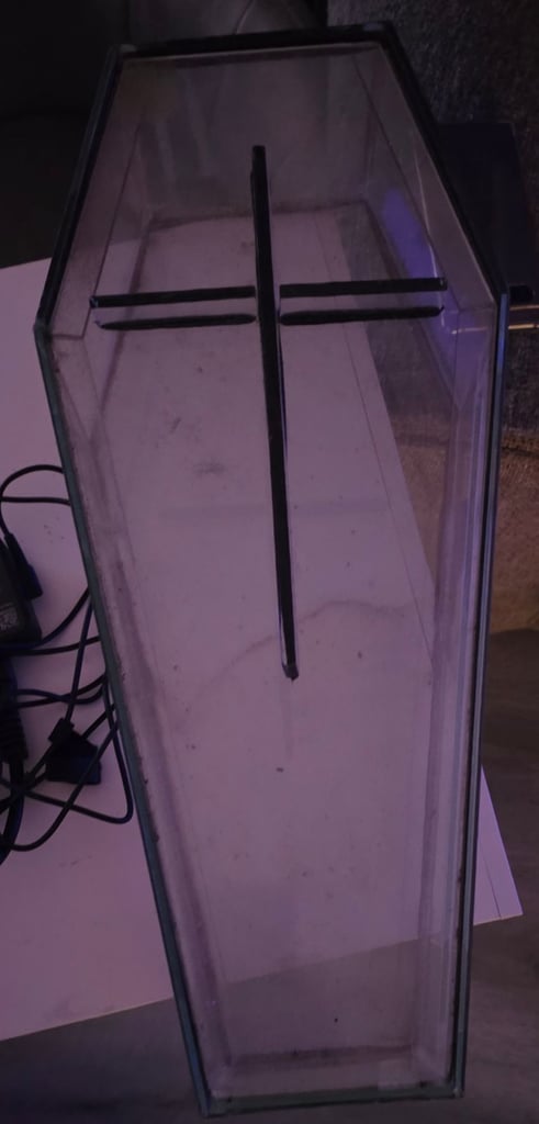 image for Glass vivarium 