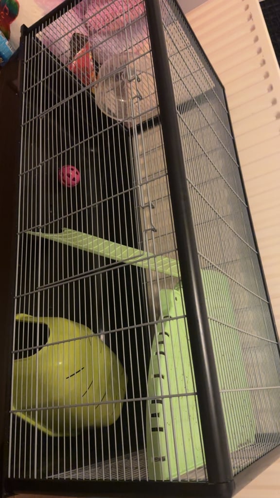 Rat cage barely was used 