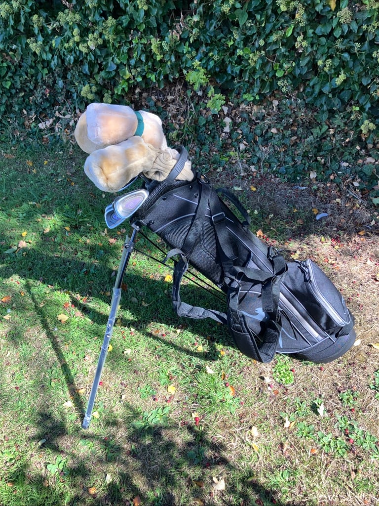 image for Ladies Golf Clubs Driver 3-5 Woods Irons Sw Pw Putter New Golf Stand Bag 