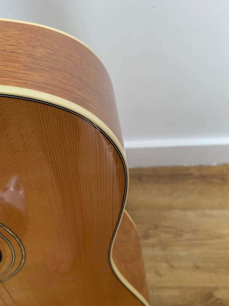 Left-Handed Acoustic Guitar (Alvarez)