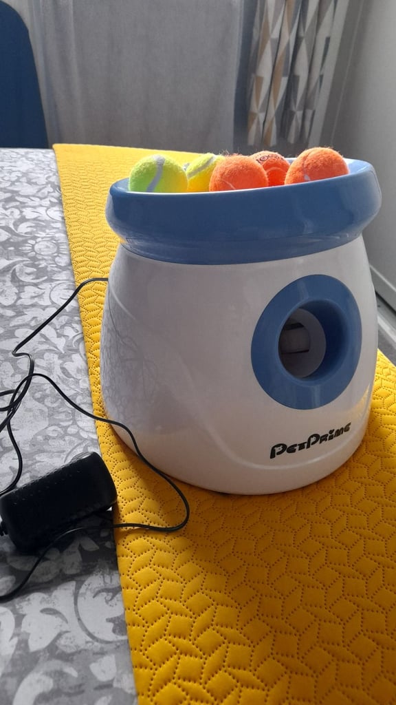 Ball launcher for dog