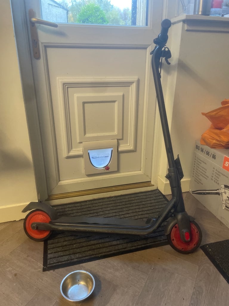 Electric scooter by ninebot (currys)