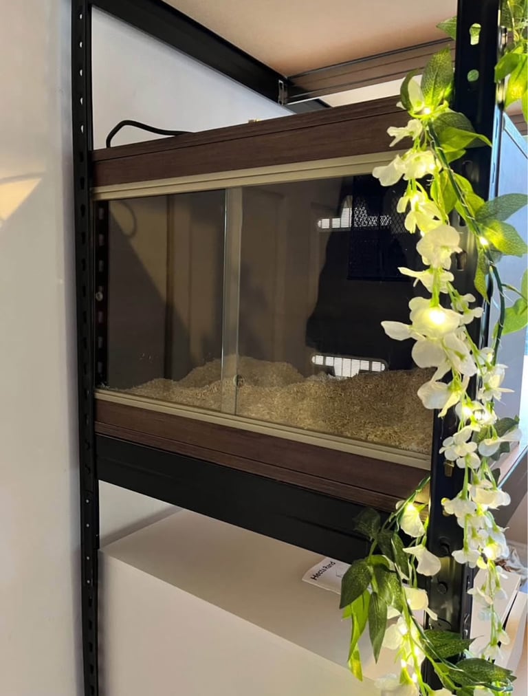 Small reptile vivarium