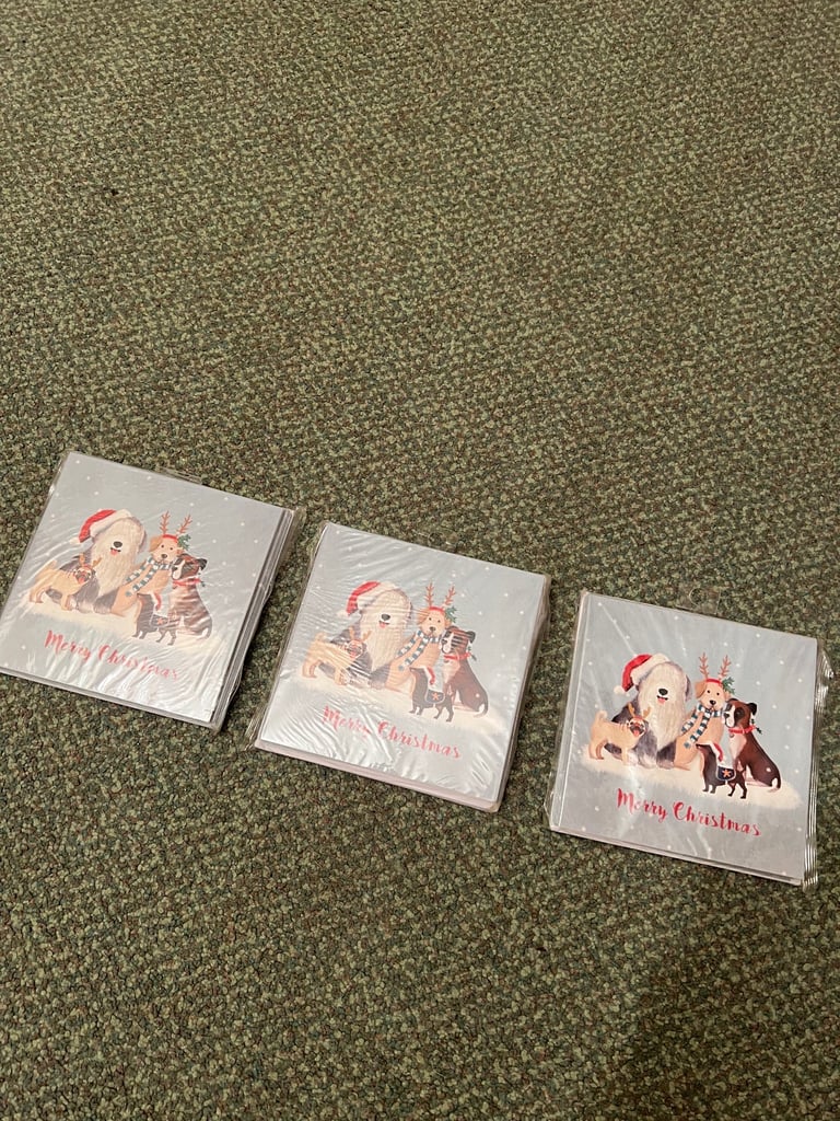 image for 30 New Christmas Cards and envelopes (all the same)