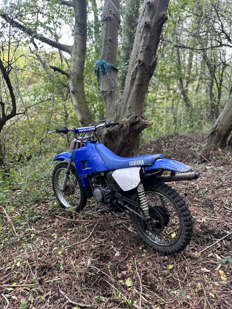 Rt100 Yamaha 