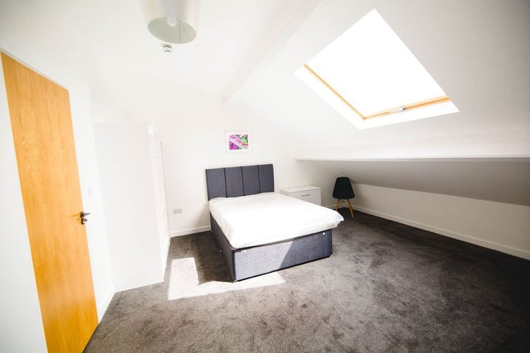Large Ensuite Room for Young professional or student, Brynmill.