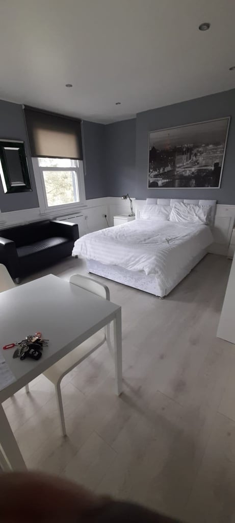 Large studio flat with separate kitchen and shower room available in Stoke Newington 