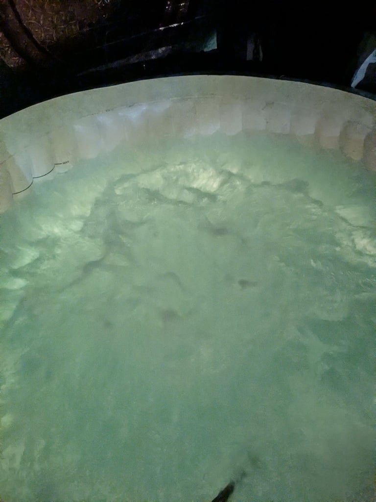 Lay z spa Paris hot tub