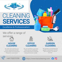 Your professional ___ cleaning service for a spotless finish