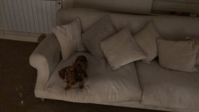 Loaf XL Crumpet Sofa In Clever Velvet 