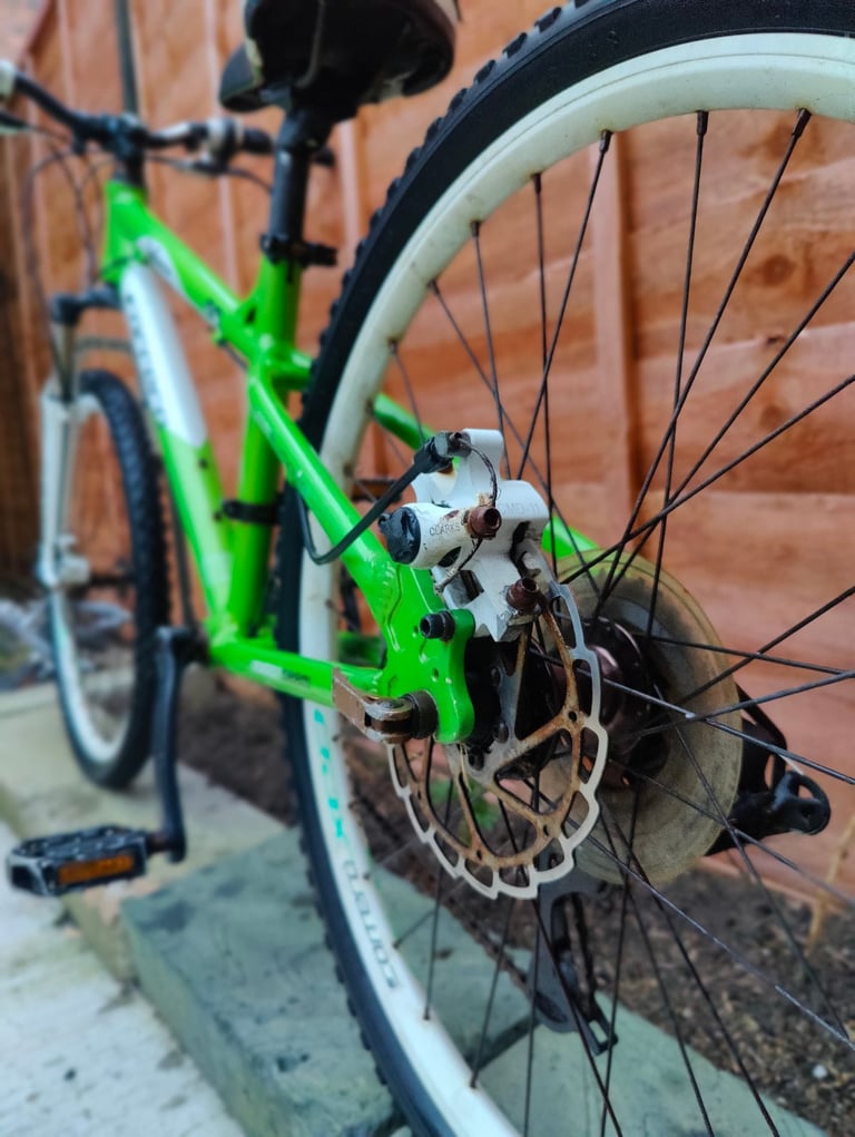 Carrera blast junior mountain bike