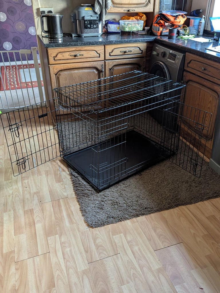 Dog cage 