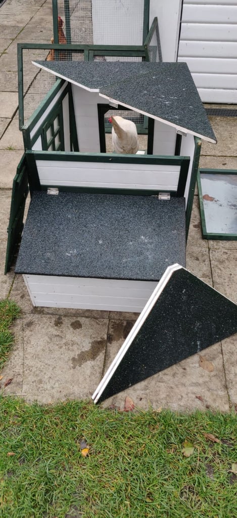 Pawhut chicken coop and run