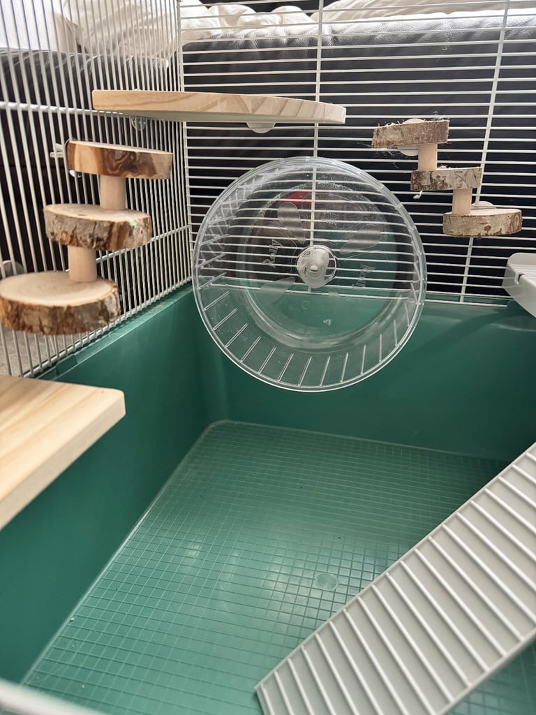Hamster cage