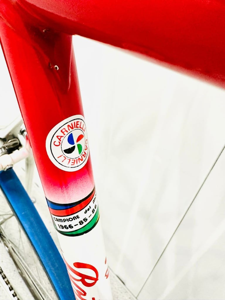 A7  BOTTECHIA Size/L Super LW Road Bike  12 Speed 700c Wheels