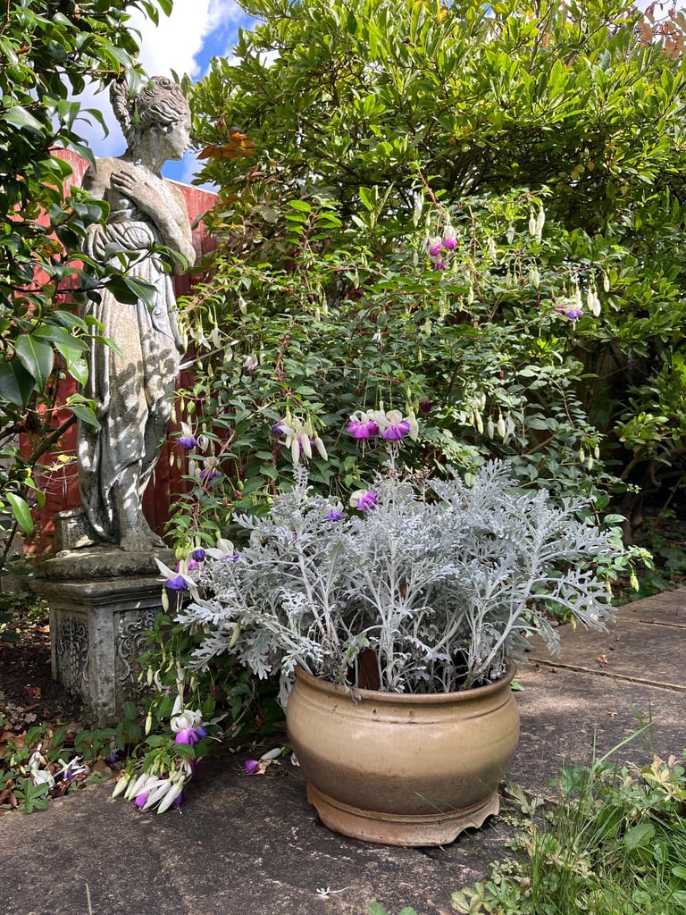 Ceramic Garden Planter with Evergreen Foliage | 30cm Diameter, 19cm Height | Winter ready