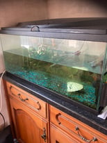 30” Fish Tank with heater filter and light