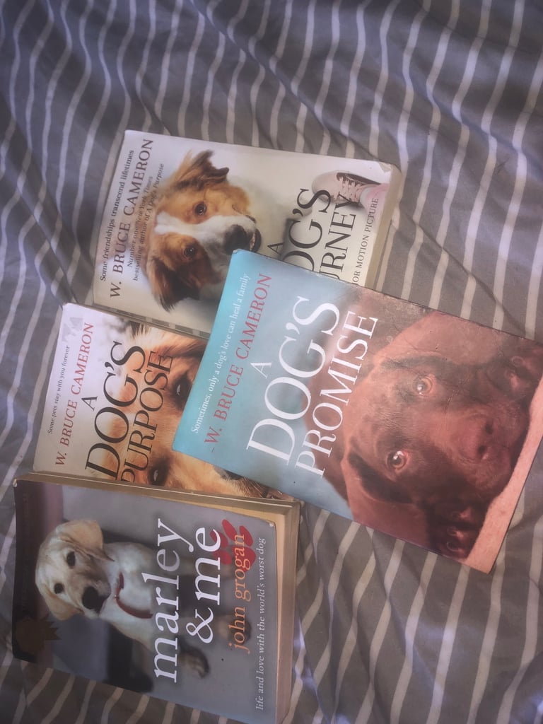  Book bundle  
