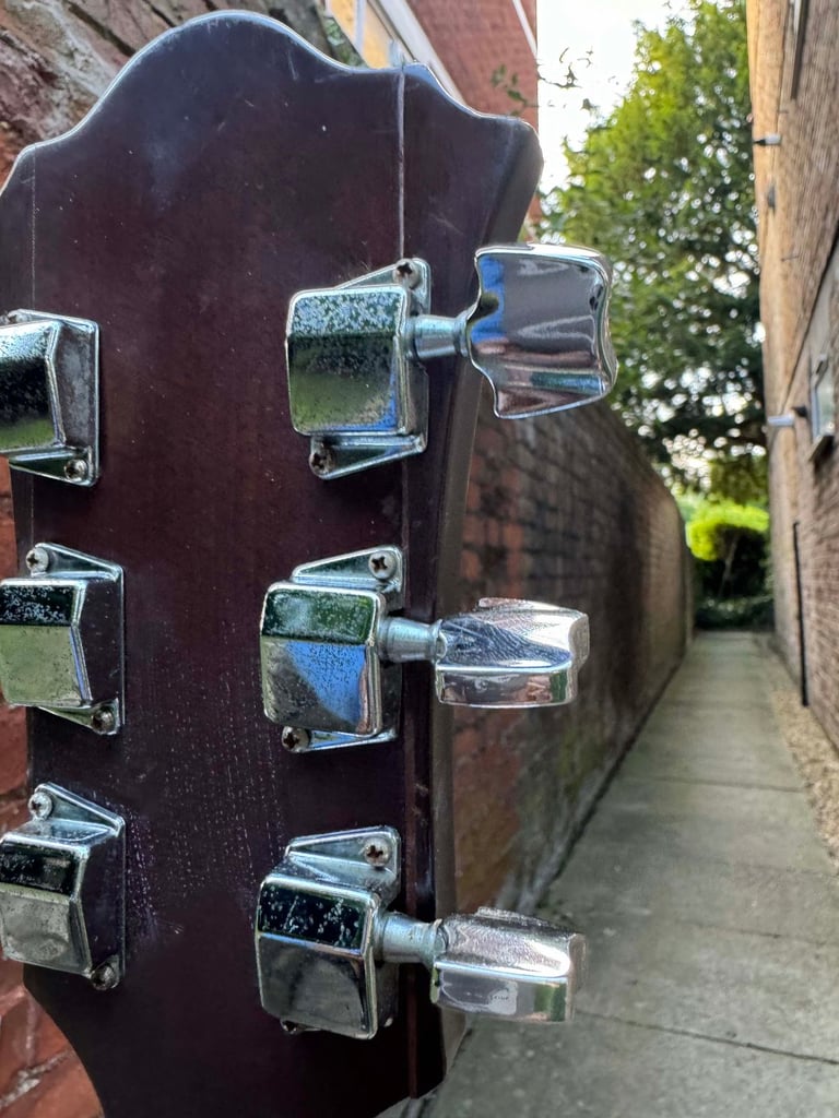 Ibanez V220 Vintage Series (Japan, 1980s) + Schatten HFN passive piezo pickup