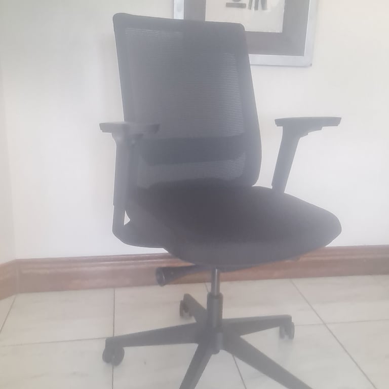 Black netback executive office chairs 