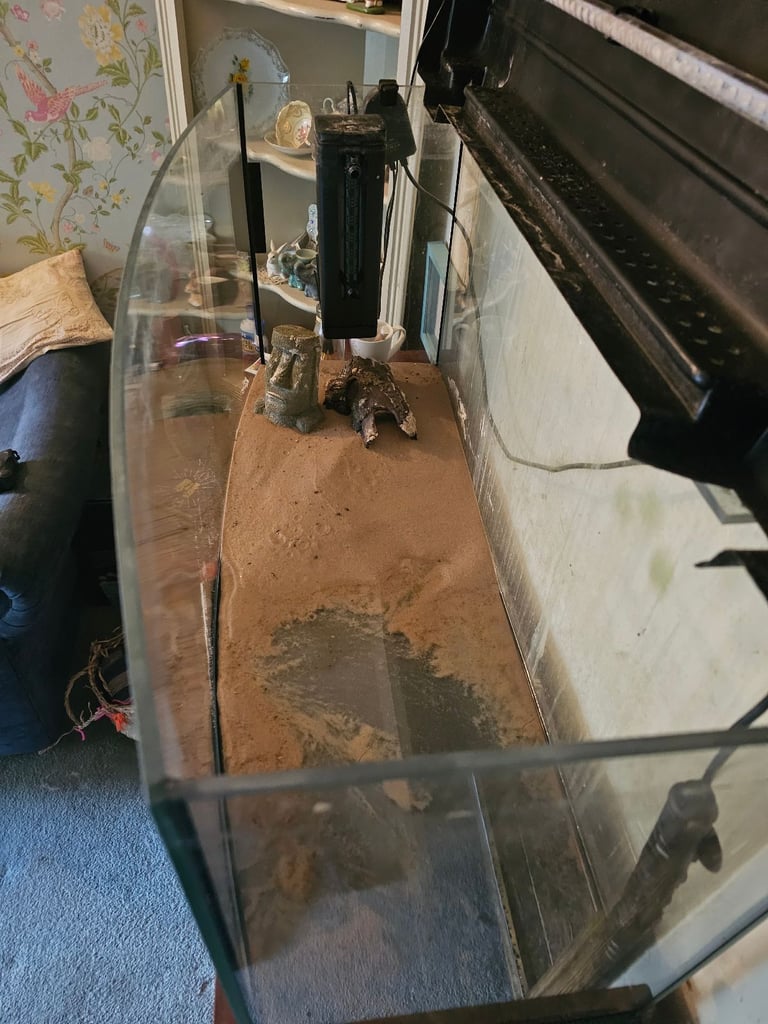 Curved fish tank for sale