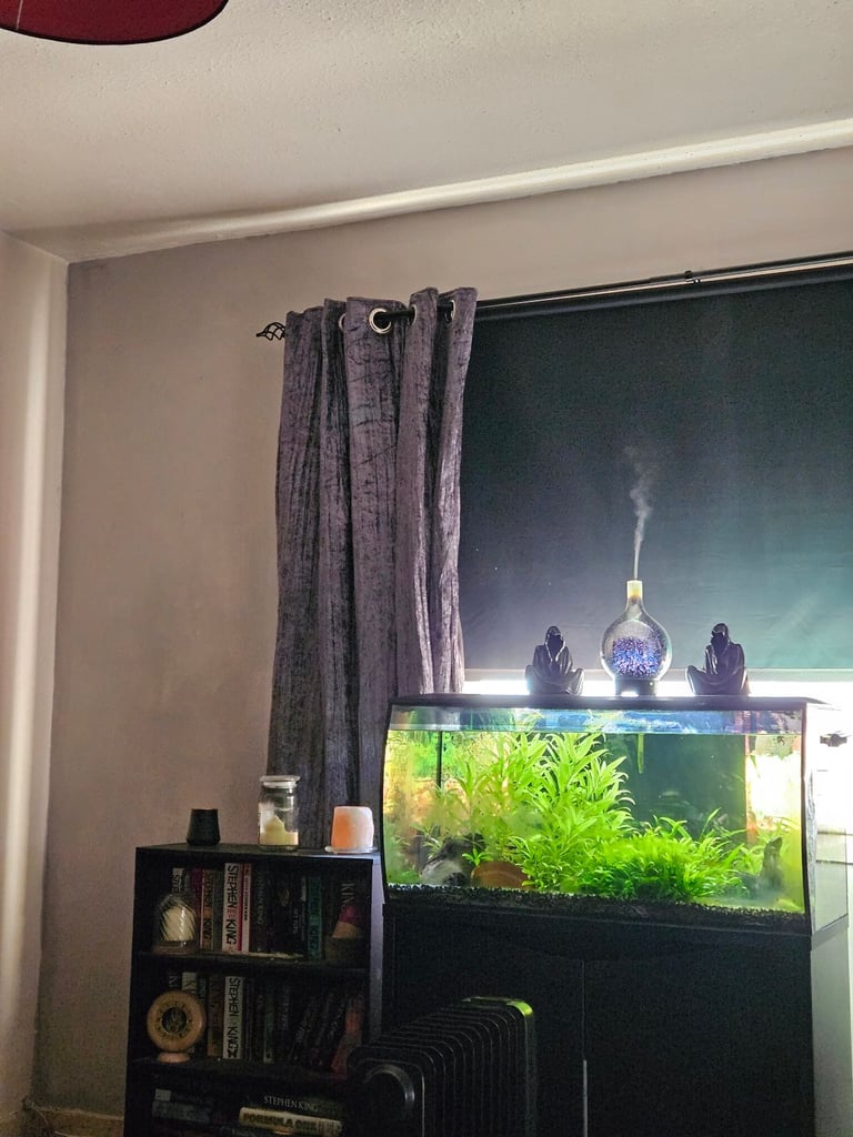 Fluval flex 123lt PENDING COLLECTION 
