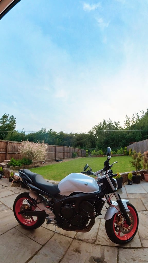 Yamaha, FZ 6, 2008, 599 (cc)