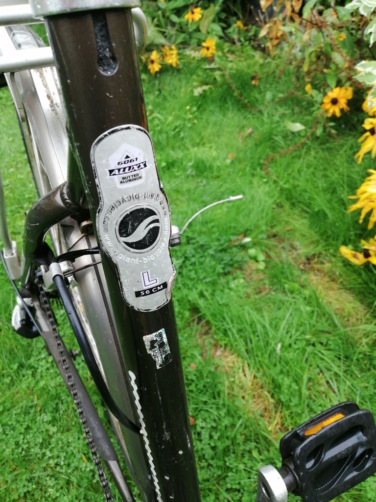 Ladies Giant Bicycle 
