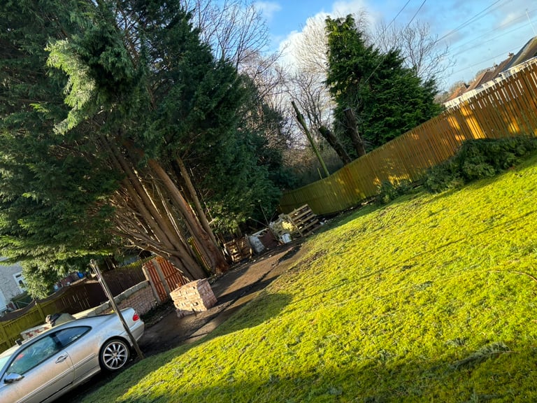 FENCE REPAIRS & TREE REMOAL 🌳🌳🌳