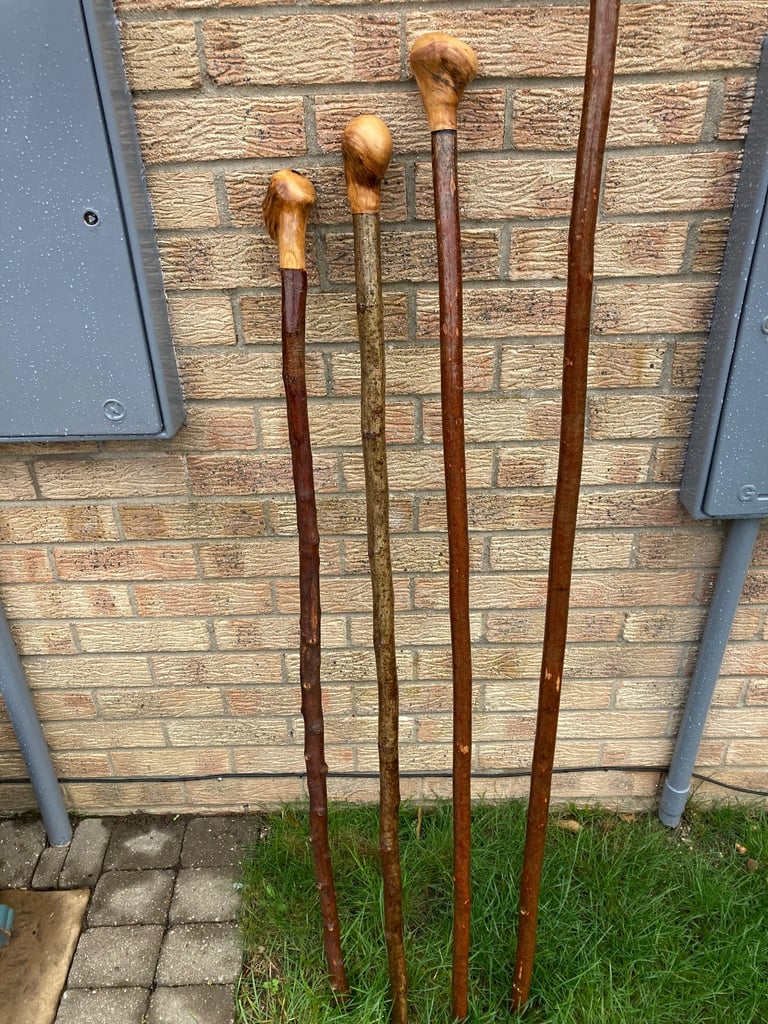 Hiking sticks 