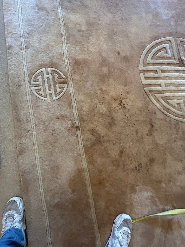 Traditional hand woven wool - oriental carpet