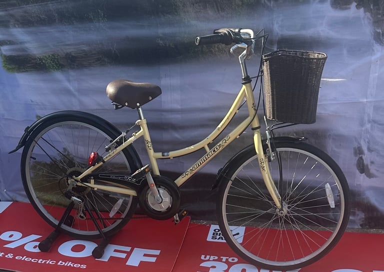 Pendleton with Basket Adult 24” Wheel - Size 14 Bike - Fully Serviced 