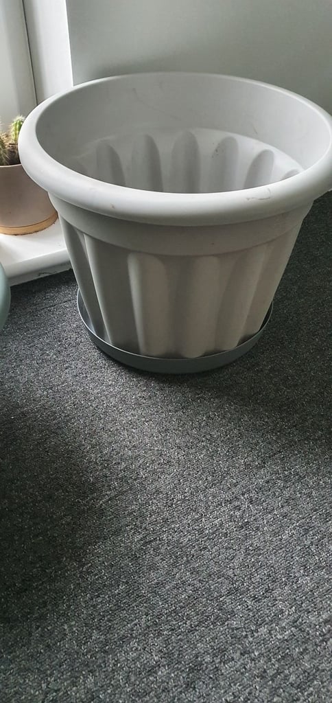 image for Plastic flowers pots