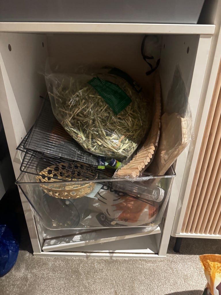 Complete Syrian Hamster Set 